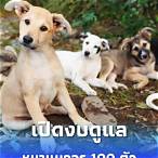2ตัวบนบาทละเท่าไหร่